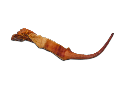 Svinjski rep