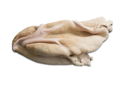 Škembići