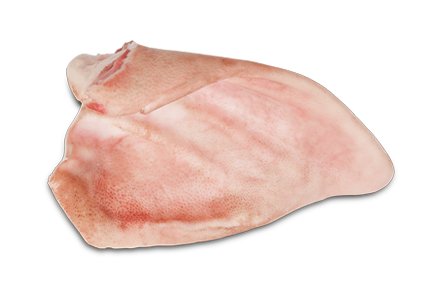 Uši