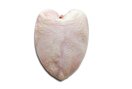 Grudi