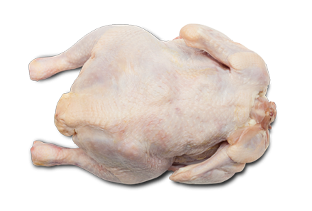 Piletina