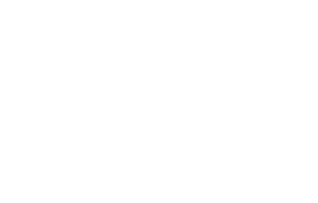 Šunke